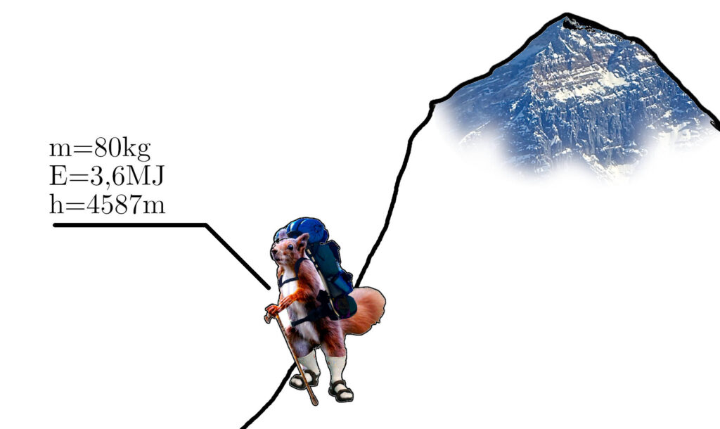 Veverka stojici na v polovine everestu